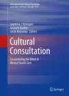 Cultural Consultation : Encountering the Other in Mental Health Care - eBook