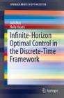 Infinite-Horizon Optimal Control in the Discrete-Time Framework - eBook