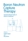 Boron Neutron Capture Therapy : Toward Clinical Trials of Glioma Treatment - eBook