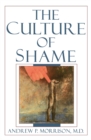 The Culture of Shame - eBook