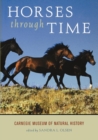 Horses Through Time - eBook