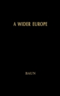 Wider Europe : The Process and Politics of European Union Enlargement - eBook