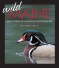 Wild Maine : Discoveries of a Wildlife Photographer - eBook