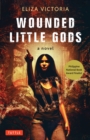Wounded Little Gods : A Novel - eBook