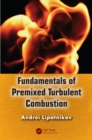 Fundamentals of Premixed Turbulent Combustion - eBook