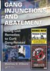 Gang Injunctions and Abatement : Using Civil Remedies to Curb Gang-Related Crimes - eBook