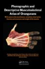 Photographic and Descriptive Musculoskeletal Atlas of Orangutans : with notes on the attachments, variations, innervations, function and synonymy and weight of the muscles - Book