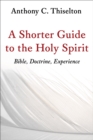 A Shorter Guide to the Holy Spirit : Bible, Doctrine, Experience - eBook