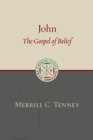 John : The Gospel of Belief: An Analytic Study of the Text - eBook