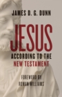 Jesus according to the New Testament - eBook
