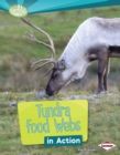 Tundra Food Webs in Action - eBook