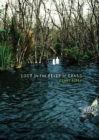 Lost in the River of Grass - eBook