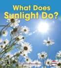 What Does Sunlight Do? - eBook