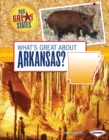 What's Great about Arkansas? - eBook
