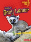 Meet a Baby Lemur - eBook