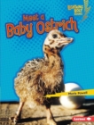 Meet a Baby Ostrich - eBook