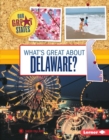 What's Great about Delaware? - eBook