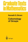Cohomology of Groups - eBook