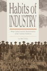 Habits of Industry : White Culture and the Transformation of the Carolina Piedmont - eBook