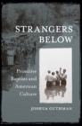 Strangers Below : Primitive Baptists and American Culture - eBook