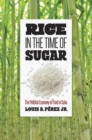 Rice in the Time of Sugar : The Political Economy of Food in Cuba - Book