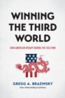 Winning the Third World : Sino-American Rivalry during the Cold War - Book