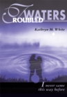 Troubled Waters : I Never Came This Way Before - eBook