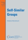 Self-Similar Groups - eBook