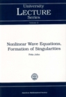Nonlinear Wave Equations, Formation of Singularities - eBook
