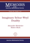 Imaginary Schur-Weyl Duality - Book