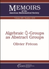 Algebraic $\overline {\mathbb {Q}}$-Groups as Abstract Groups - Book