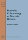 Bounded Cohomology of Discrete Groups - Book