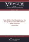 Type II Blow Up Manifolds for the Energy Supercritical Semilinear Wave Equation - eBook