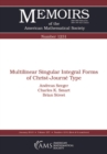 Multilinear Singular Integral Forms of Christ-Journe Type - eBook