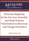 Brownian Regularity for the Airy Line Ensemble, and Multi-Polymer Watermelons in Brownian Last Passage Percolation - Book