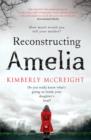 Reconstructing Amelia - Book