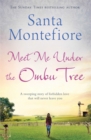 Meet Me Under the Ombu Tree - eBook