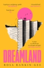 Dreamland : A postcard from a future that's closer than we think - Book