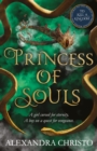 Princess of Souls : from the author of To Kill a Kingdom, the TikTok sensation! - eBook