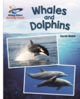 Reading Planet - Whales and Dolphins - White: Galaxy - eBook