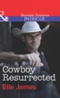Cowboy Resurrected - eBook