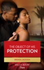 The Object of His Protection - eBook