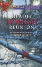 Deadly Holiday Reunion - eBook