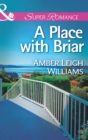 A Place with Briar - eBook