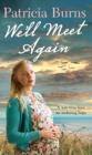 We'll Meet Again - eBook