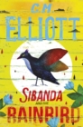 Sibanda and the Rainbird - eBook