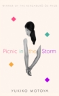 Picnic in the Storm - eBook