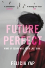 Future Perfect : The Most Exciting High-Concept Novel of the Year - Book