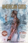 American Gods: My Ainsel - eBook