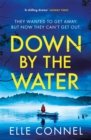 Down By The Water : The compulsive page turner you won't want to miss - Book